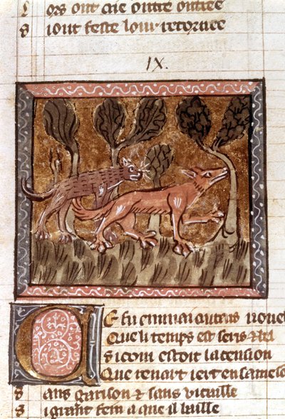 The fox and the wolf, illumination from the manuscript entitled Roman de Renart (The Novel of the Fox), c.13th century by French School